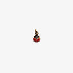 Charm Coccinella