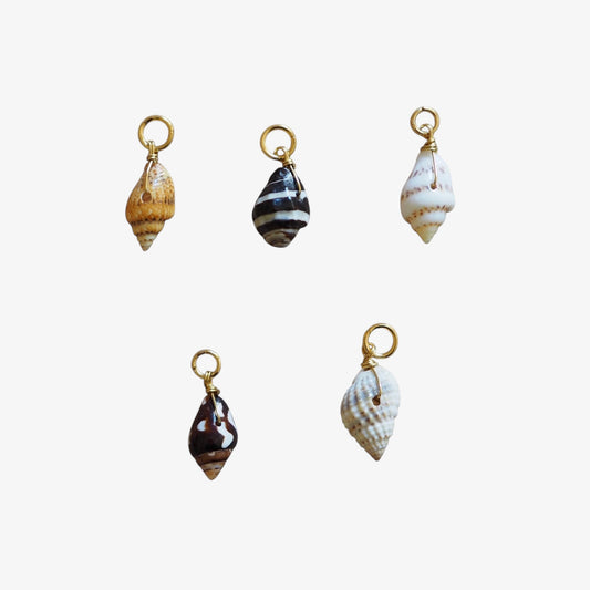 Charm Conchiglia