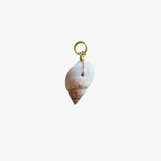 Charm Conchiglia Cipria