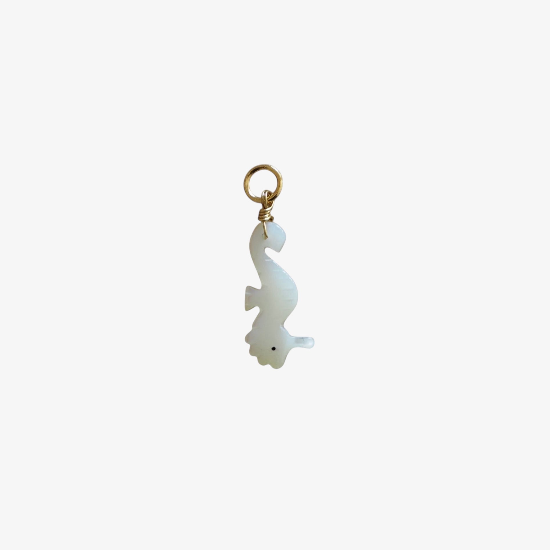 Charm Cavalluccio marino