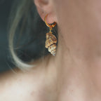 MicroCerchi Conchiglia