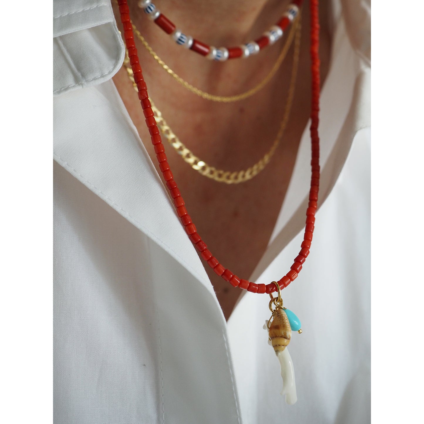 Collana Procida